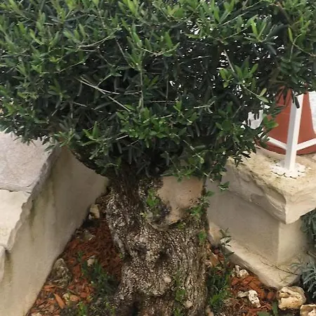 Bed & Breakfast Il Casale Di Gio *