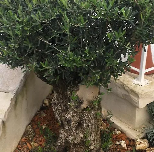 Bed & Breakfast Il Casale Di Gio 4*