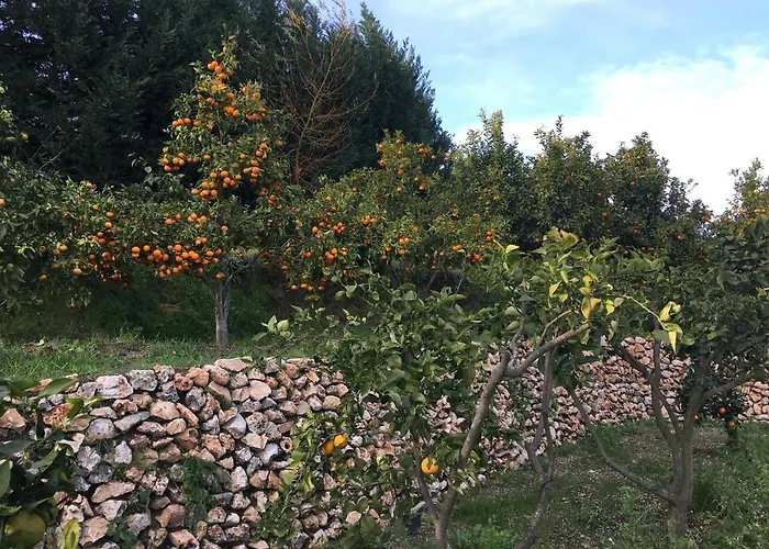 Il Casale Di Gio Bed & Breakfast 4*