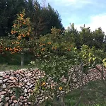 La Tenuta Michele Bed & Breakfast 4*